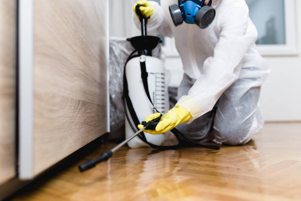 Best Bed Bug Extermination  in Granite, OK