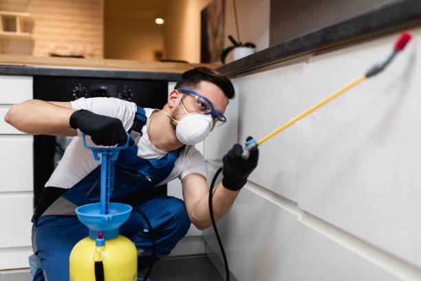 Best Pest Removal Services  in Granite, OK