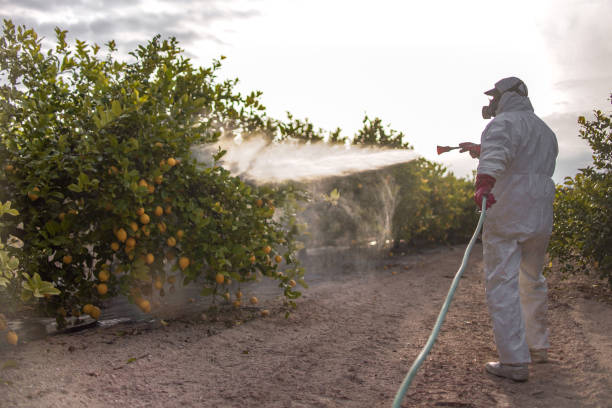 Best Flea Control Services  in Granite, OK